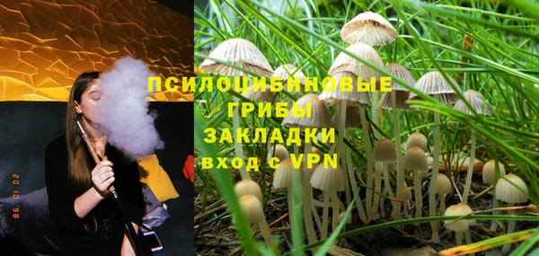 PSILOCYBIN Абинск