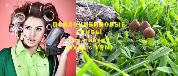 ГАЛЛЮЦИНОГЕННЫЕ ГРИБЫ Рославль