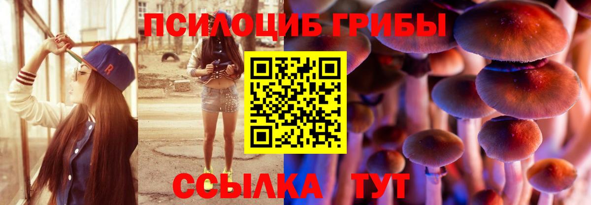 Галлюциногенные грибы MAGIC MUSHROOMS Богданович