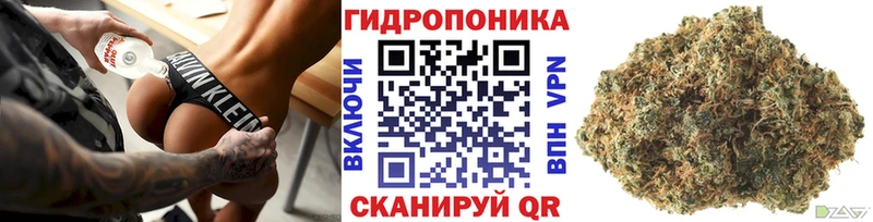 Марихуана конопля Богданович